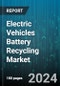 Electric Vehicles Battery Recycling Market by Battery Type, Process, Vehicle Type - Global Forecast 2025-2030 - Product Image