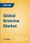 Global Bromine Market Size, Competitive Analysis and Forecast to 2028 - Product Image