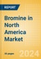Bromine in North America Market Size, Competitive Analysis and Forecast to 2028 - Product Thumbnail Image