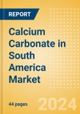 Calcium Carbonate in South America Market Size, Competitive Analysis and Forecast to 2028- Product Image