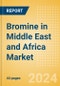 Bromine in Middle East and Africa Market Size, Competitive Analysis and Forecast to 2028 - Product Thumbnail Image