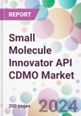 Small Molecule Innovator API CDMO Market- Product Image