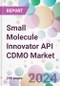 Small Molecule Innovator API CDMO Market - Product Image