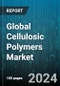 Global Cellulosic Polymers Market by Type (Cellulose Acetate, Cellulose Esters, Cellulose Ethers), Application (Binders, Coating Agents, Controlled Release Systems), End-Use Industry - Forecast 2024-2030 - Product Image