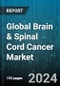 Global Brain & Spinal Cord Cancer Market by Tumor Type (Glioblastoma, Meningioma, Pituitary Tumors), Treatment (Diagnosis, Therapeutics), End-users - Forecast 2024-2030 - Product Thumbnail Image
