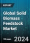 Global Solid Biomass Feedstock Market by Type (Briquettes, Chips, Pellets), Source (Agriculture Waste, Animal Waste, Forest Waste), Conversion Technology, End-Use - Forecast 2024-2030 - Product Thumbnail Image