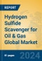Hydrogen Sulfide Scavenger for Oil & Gas Global Market Insights 2024, Analysis and Forecast to 2029, by Manufacturers, Regions, Technology, Application - Product Thumbnail Image