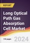 Long Optical Path Gas Absorption Cell Market Report: Trends, Forecast and Competitive Analysis to 2030 - Product Thumbnail Image