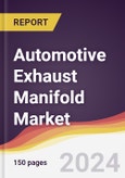 Automotive Exhaust Manifold Market Report: Trends, Forecast and Competitive Analysis to 2030- Product Image