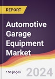 Automotive Garage Equipment Market Report: Trends, Forecast and Competitive Analysis to 2030- Product Image