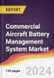 Commercial Aircraft Battery Management System Market Report: Trends, Forecast and Competitive Analysis to 2030 - Product Thumbnail Image