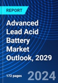 Advanced Lead Acid Battery Market Outlook, 2029- Product Image