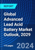 Global Advanced Lead Acid Battery Market Outlook, 2029- Product Image