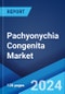 Pachyonychia Congenita Market: Epidemiology, Industry Trends, Share, Size, Growth, Opportunity, and Forecast 2024-2034 - Product Thumbnail Image