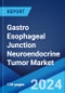 Gastro Esophageal Junction Neuroendocrine Tumor Market: Epidemiology, Industry Trends, Share, Size, Growth, Opportunity, and Forecast 2024-2034 - Product Image