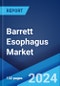 Barrett Esophagus Market: Epidemiology, Industry Trends, Share, Size, Growth, Opportunity, and Forecast 2024-2034 - Product Image