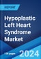 Hypoplastic Left Heart Syndrome Market: Epidemiology, Industry Trends, Share, Size, Growth, Opportunity, and Forecast 2024-2034 - Product Thumbnail Image