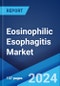 Eosinophilic Esophagitis Market: Epidemiology, Industry Trends, Share, Size, Growth, Opportunity, and Forecast 2024-2034 - Product Thumbnail Image