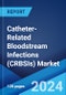 Catheter-Related Bloodstream Infections (CRBSIs) Market: Epidemiology, Industry Trends, Share, Size, Growth, Opportunity, and Forecast ?2024-2034? - Product Thumbnail Image
