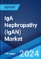 IgA Nephropathy (IgAN) Market: Epidemiology, Industry Trends, Share, Size, Growth, Opportunity, and Forecast ?2024-2034? - Product Thumbnail Image
