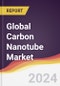 Technology Landscape, Trends and Opportunities in the Global Carbon Nanotube (CNT) Market - Product Image