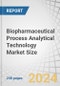 Biopharmaceutical Process Analytical Technology Market Size by Technology (LC, GC, MS, qPCR, NGS, NMR, Raman, IR Spectroscopy), Product (Analyzer, Sensor, Software), Application (Vaccine, Biologics, CGT), and End User - Forecast to 2029 - Product Image