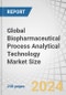 Global Biopharmaceutical Process Analytical Technology Market Size by Technology (LC, GC, MS, qPCR, NGS, NMR, Raman, IR Spectroscopy), Product (Analyzer, Sensor, Software), Application (Vaccine, Biologics, CGT), and End User - Forecast to 2029 - Product Image