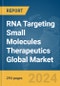 RNA Targeting Small Molecules Therapeutics Global Market Opportunities and Strategies to 2033 - Product Thumbnail Image