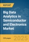 Big Data Analytics in Semiconductor and Electronics Market Report 2025 - Product Image