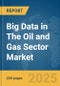 Big Data in The Oil and Gas Sector Market Report 2025 - Product Image