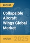 Collapsible Aircraft Wings Global Market Report 2025 - Product Thumbnail Image