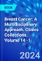 Breast Cancer: A Multidisciplinary Approach. Clinics Collections. Volume 14 -1 - Product Thumbnail Image