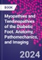 Myopathies and Tendinopathies of the Diabetic Foot. Anatomy, Pathomechanics, and Imaging - Product Thumbnail Image