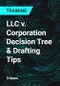 LLC v. Corporation Decision Tree & Drafting Tips - Product Thumbnail Image