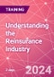Understanding the Reinsurance Industry Training Course (November 6-7, 2024) - Product Thumbnail Image