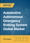 Automotive Autonomous Emergency Braking System Global Market Report 2025 - Product Thumbnail Image
