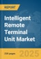 Intelligent Remote Terminal Unit Market Report 2025 - Product Thumbnail Image