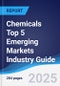Chemicals Top 5 Emerging Markets Industry Guide 2020-2029 - Product Thumbnail Image