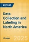 Data Collection and Labeling in North America - Product Image