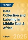 Data Collection and Labeling in Middle East & Africa- Product Image