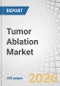 Tumor Ablation Market by Technology, Product, Application, Procedure, and End User - Global Forecast to 2031 - Product Thumbnail Image