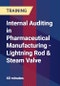 Internal Auditing in Pharmaceutical Manufacturing - Lightning Rod & Steam Valve - Product Thumbnail Image