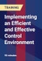 Implementing an Efficient and Effective Control Environment - Product Thumbnail Image
