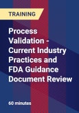 Process Validation - Current Industry Practices and FDA Guidance Document Review- Product Image