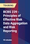 BCBS 239 - Principles of Effective Risk Data Aggregation and Risk Reporting - Product Thumbnail Image