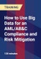 How to Use Big Data for an AML/AB&C Compliance and Risk Mitigation - Product Thumbnail Image
