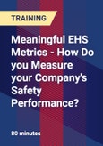 Meaningful EHS Metrics - How Do you Measure your Company's Safety Performance?- Product Image