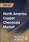 North America Copper Chemicals Market Size, Share & Trends Analysis Report By Application (Agriculture, Ceramic, Textile, Paints, Mining & Metallurgy, and Others), By Type, By Country and Growth Forecast, 2024 - 2031 - Product Thumbnail Image