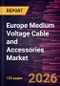 Europe Medium Voltage Cable and Accessories Market Size and Forecast (2021 - 2031) - Product Thumbnail Image