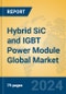 Hybrid SiC and IGBT Power Module Global Market Insights 2024, Analysis and Forecast to 2029, by Manufacturers, Regions, Technology, Application, Product Type - Product Image